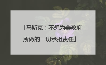 马斯克：不想为美政府所做的一切承担责任